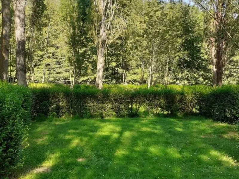 Découvrir nos emplacements ombragés dans les Combrailles