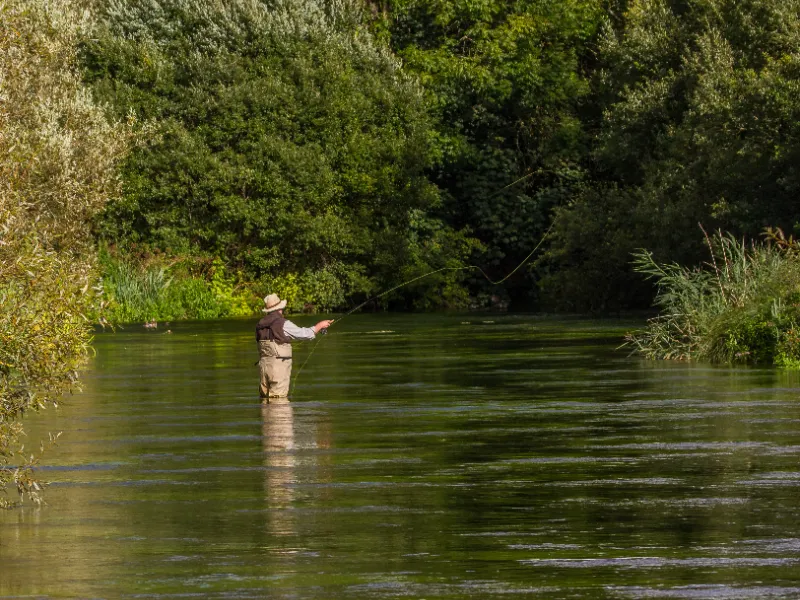 Parcours de pêche dans la Sioule au bord du camping au Pays des Combrailles